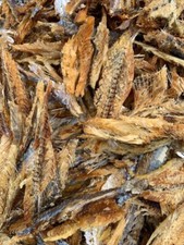 Bonga (Shawa) Fish Fillet -