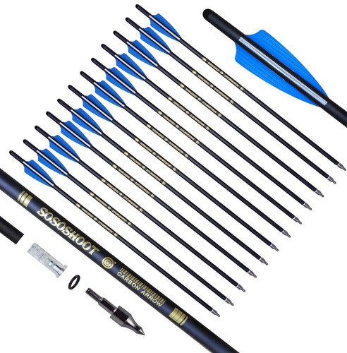 12pc archery carbon - 20", bolts