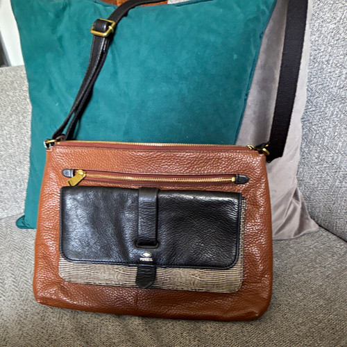 Fossil brown black - brown/black, colourblock
