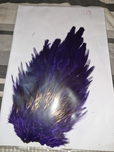 Large saddle cock - large,