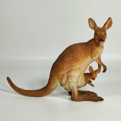 Elc aaa kangaroo with - kangaroo, joey