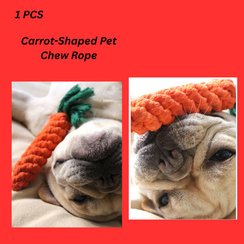 Carrot shaped pet chew - carrot-shaped,