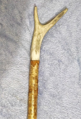 Vintage deer antler - vintage,