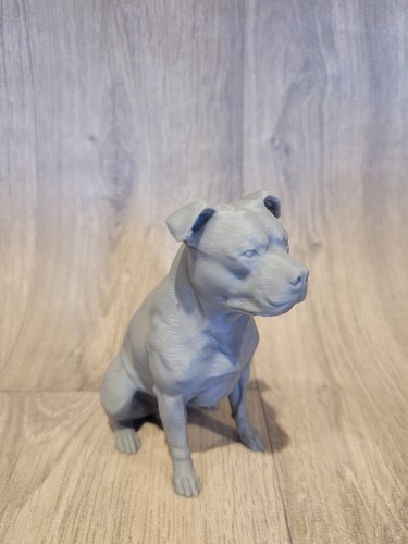 Staffordshire bull terrier - staffordshire,