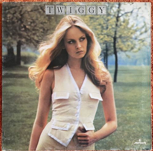 Twiggy lp - twiggy,