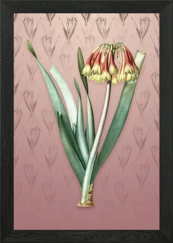 Vintage knysna lily framed - knysna,