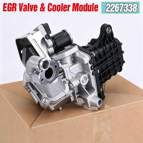 Egr valve cooler module - module, fits