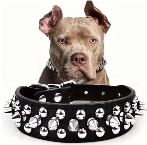 Spiked studded leather - studded, dog