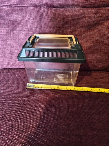 Plastic faunaarium reptile - reptile, &