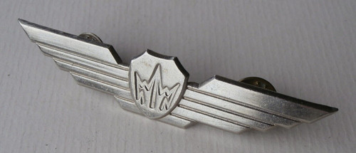 Unidentified pilot wings - pilot,