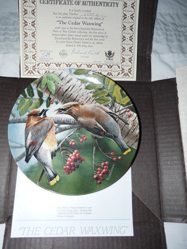 Kevin daniels birds your - kevin,