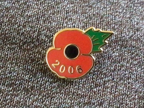 2006 badge free - free, postage.