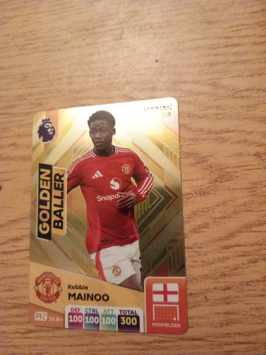 Panini adrenalyn premier - panini, xl