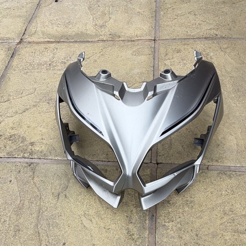 Kawasaki versys 650 nose - kawasaki,