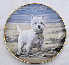 Danbury Mint Westie Dog Plate  Beachcomber by paul doyle 21cm across 330g