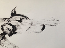 Original signed Ink sketch painting of a Whippet Greyhound Lurcher A4