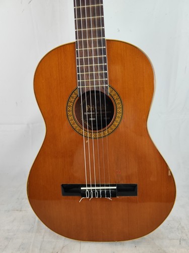 Classical concert guitar - classical,