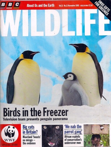 Bbc wildlife magazine nov - wildlife, magazine-nov