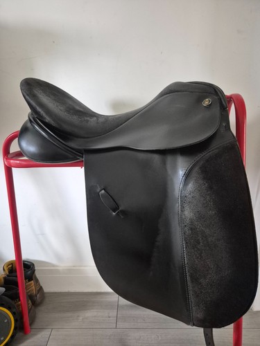 Derby house kentucky - kentucky, dressage
