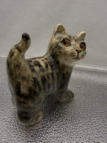 Winstanley tabby cat - winstanley,