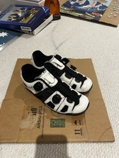 Lake CX242 Carbon Cycling