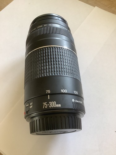 Canon 300mm 4 - ef, 75-300mm