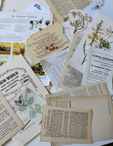 Vintage paper ephemera job - ephemera,