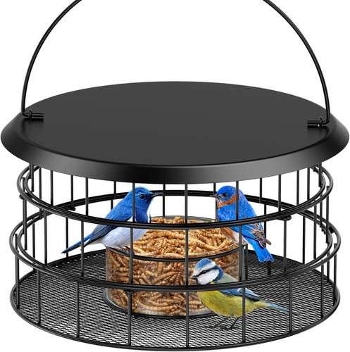 Hanging bird feeder metal - hanging,