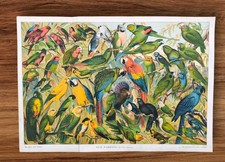 Original Antique 1883 Parrot