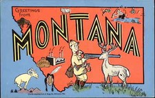 Montana MT Map Deer Hunter