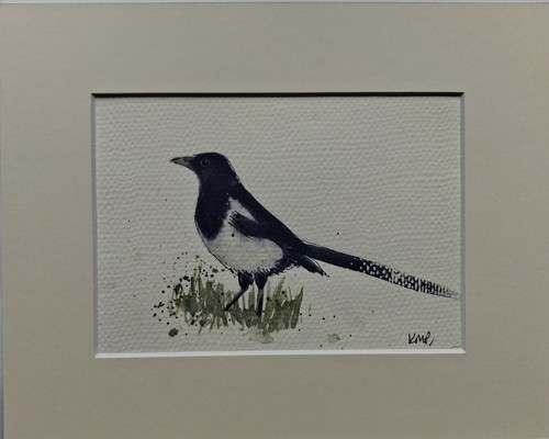 Painting magpie watercolour - magpie,