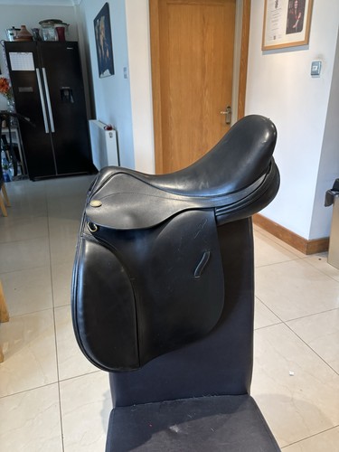 Harry dabbs saddle 5 - harry, mw