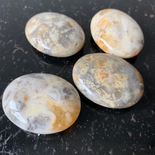 Crazy lace agate palm - lace,