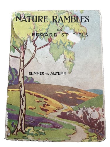 Nature rambles summer - nature,