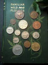 Old Irish Pre-Euro Animal