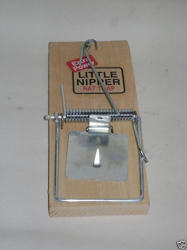 The little nipper - little,