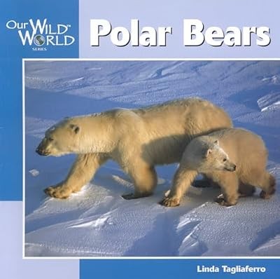 Polar bears - polar, world)
