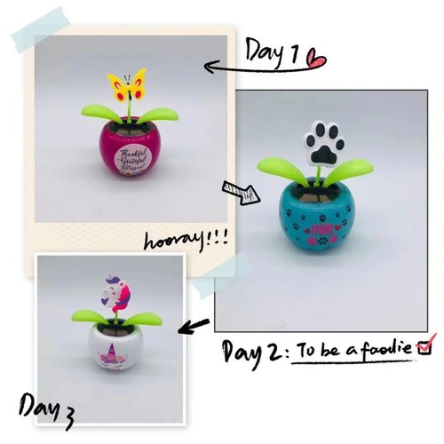 Solar flower pot dancing - solar,