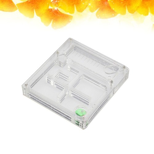 Creative ant hydrating box - ant,