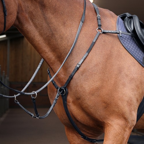 Shires velociti rapida elastic - rapida,