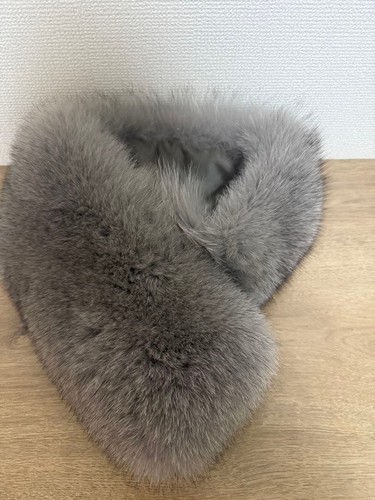 Anayi saga fox - anayi,