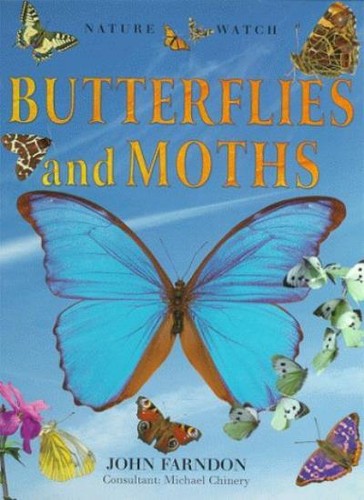 Butterflies and moths - butterflies, (nature