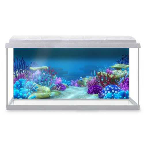 Fish tank background colorful - fish,