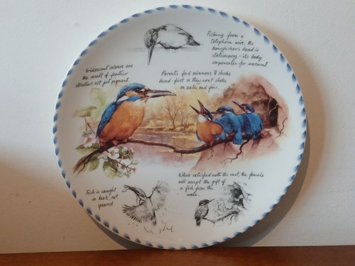 The kingfisher eric robson - the,