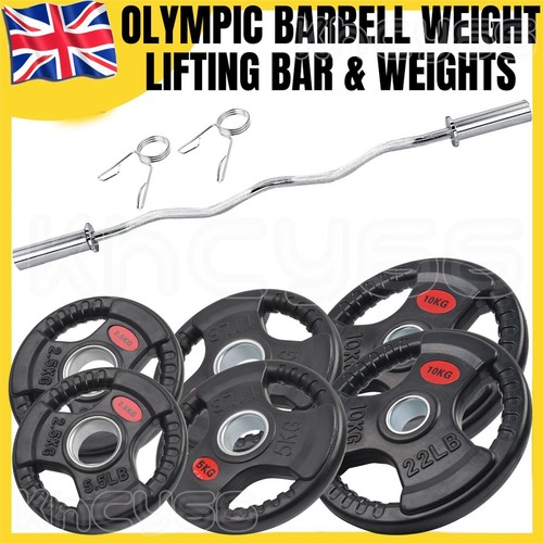 4ft olympic barbell curl - barbell,
