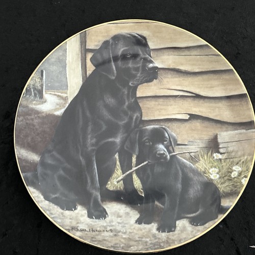Black labradors plate - black,