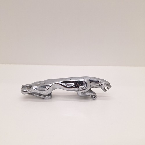Vintage jaguar chrome - vintage, hood
