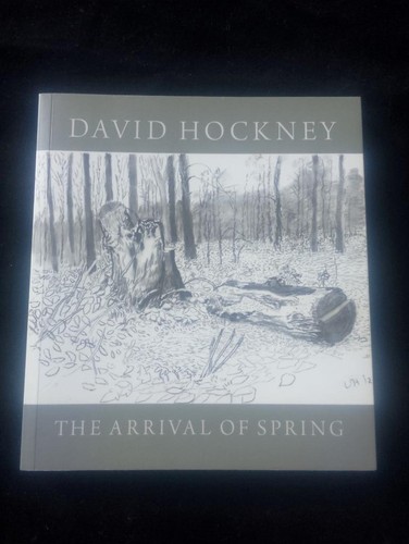 David hockney the arrival - david,