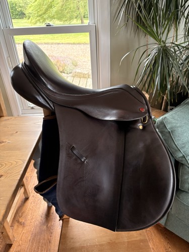 Albion saddle 5 - albion, gp
