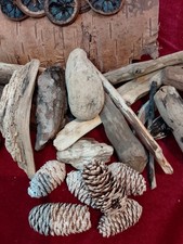 Natural Driftwood And Craft
